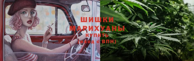 продажа наркотиков  Болгар  Бошки марихуана White Widow 